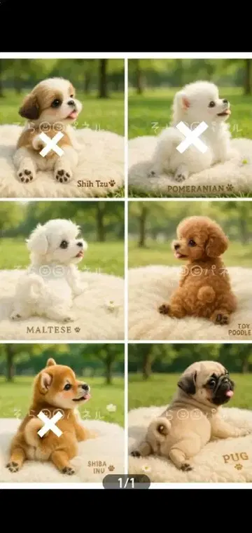 접수 공원에서 휴식하는 개