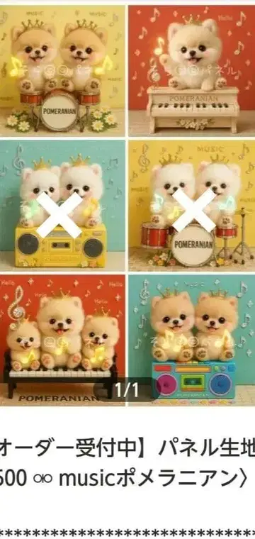 접수 music 포메라니안