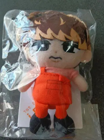 스노치루 누이 무카이 코지