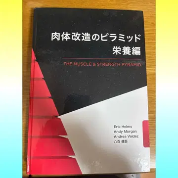 신체 개조의 피라미드 영양편