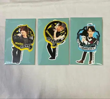 할로윈 페어 프레이크 씰 집사 찻집 스와로 테일 사이키 마토바 후지나미