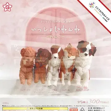 컴프 잇쇼니넨네 강아지 [전 5종]