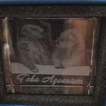 도바 수족관 랏코 키라 메이 크리스탈 입상