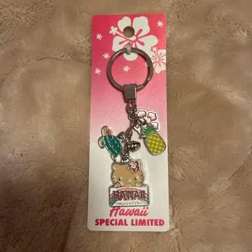 하와이 한정판 헬로키티 키링