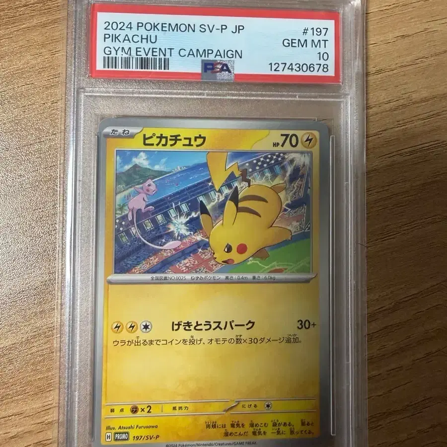 Pikachu Gym Promo 2024 Japanese PSA 10 on Bunjang Global Site.