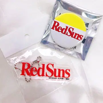 새상품 이니셜 D RedSuns 키링 캔뱃지 세트