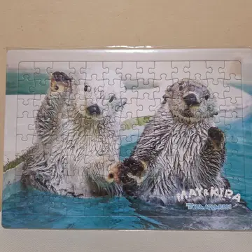 도바 수족관 랏코 키라 메이 퍼즐