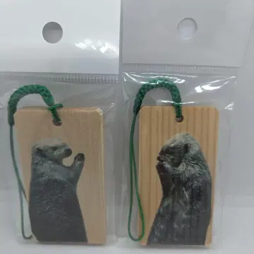 도바 수족관 랏코 메이 키라 페어 나무 명찰