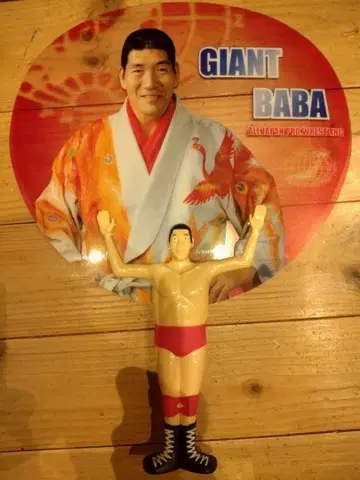 자이언트 마바 부채