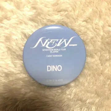 디노 DINO 캔뱃지 축제 세븐틴 seventeen