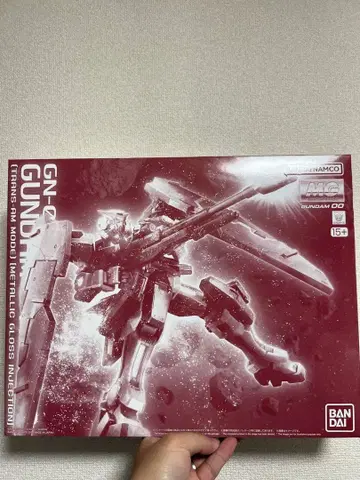MG 1/100 건담 듀나메스 (트랜잠 모드) 글로스 인젝션