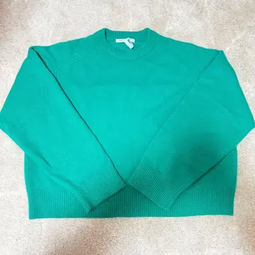 터콰이즈 래글런 슬리브 니트