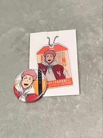 이타도리 유우지 아크릴 키링 캔뱃지 세트