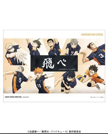 하이큐!! 베이스야드 도쿄 한정판 포스터 [카라스노 Ver. 극장판]