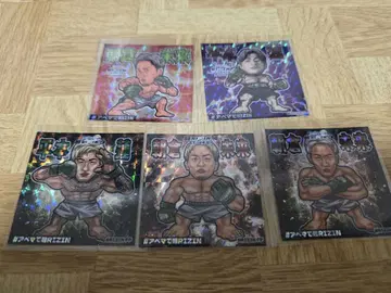 RIZIN 아사쿠라 미쿠루 히라모토 렌 스티커 5장 세트