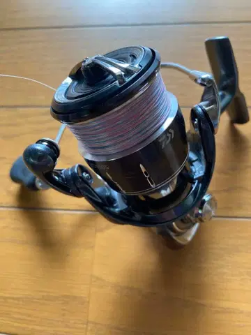 다이와 24 루비아스 LT2500S