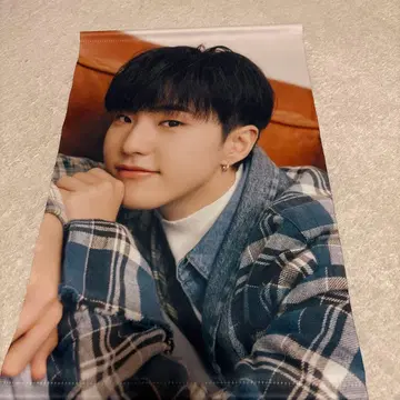 세븐틴 호시 태피스트리