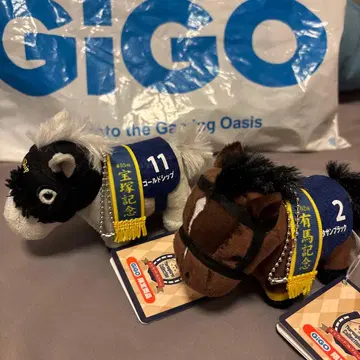 [ GiGO 한정판 ] 골드십 키타산 블랙