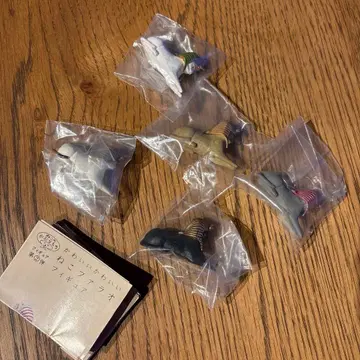 귀여운 귀여운 고양이 파라오 피규어 전 5종 세트 캡슐 토이