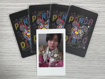 팬더드래곤 나기 하피카 트레이딩 카드