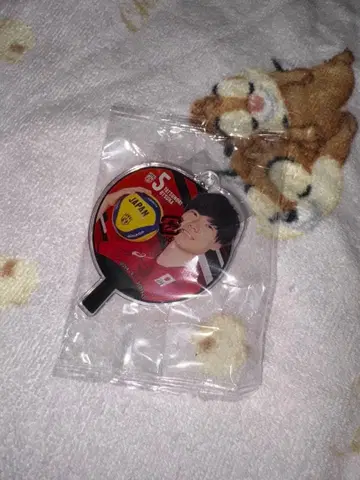 배구 남자 일본 대표 부채 아크릴 참