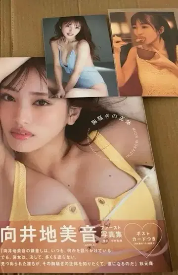 무카이치 미온 가슴 두근거림의 정체