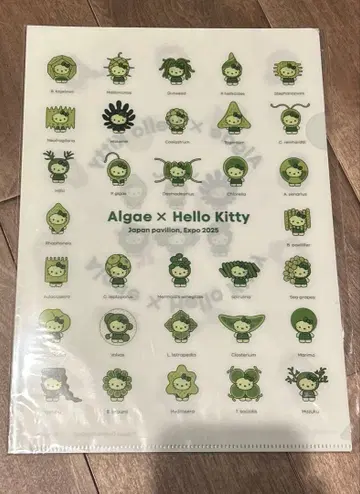 EXPO2025 간사이 만박 일본관 해조 키티 클리어 파일 2장 세트