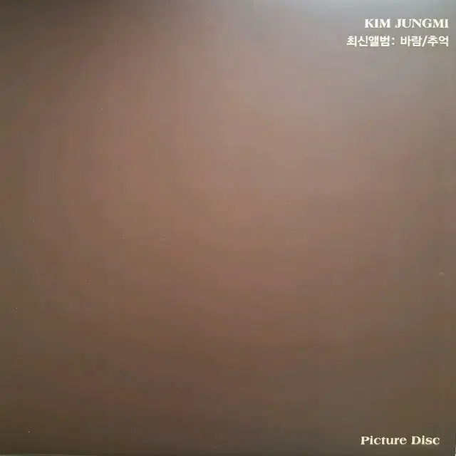김정미LP최신앨범 바람/추억 Picture Disc 미사용