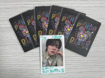 팬더 드래곤 나기 사인 하피카