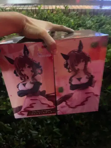 젠틸돈나 2체 라운드 원 한정판 [오늘 중