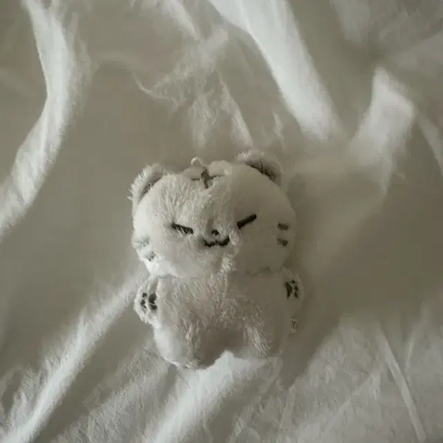 세븐틴 호시 호찌 인형 양도