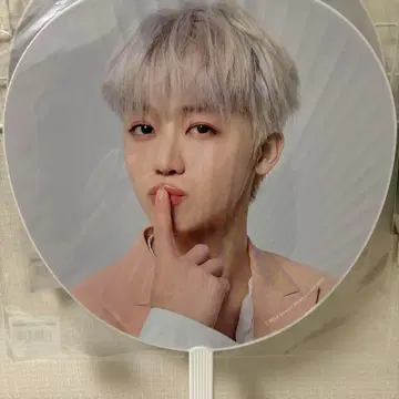 재민 드림쇼 3 부채