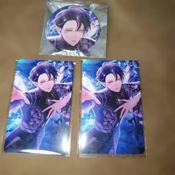 블랙스타 브라스 6주년 목련 1