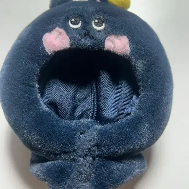 라이즈 원빈 토냥덕 응원봉 케이프 판매해요