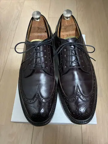 리걸 2113 쉘 코도반