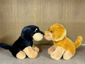 닥스훈트 닥스 강아지 봉제 인형