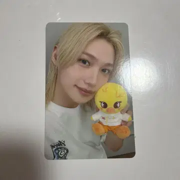 straykids 스키즈 필릭스 트레이딩 카드