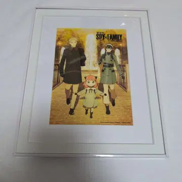 스파이 패밀리 로이드 아냐 캐릭터 파인 그래프 극장판