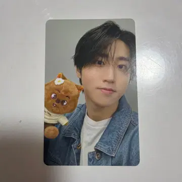 straykids 스키즈 한 트레이딩 카드