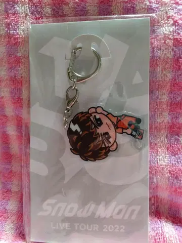Snow Man 스노치루 아크릴 키링 무카이 코지