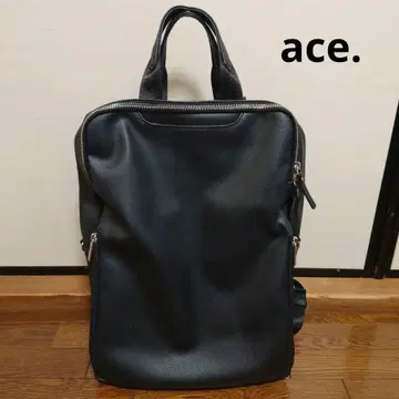 ACE 비즈니스 백팩 피템/스리팜 (제조 중지품)