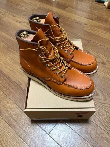 레드윙 876 8 1/2 E 브리가 슈트리 포함