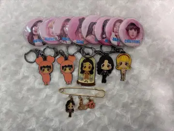 TWICE 캔뱃지 키링 모모 나연 사나 미나 등