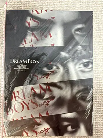 [ 미개봉 새상품 ] DREAM BOYS 2012 팜플렛