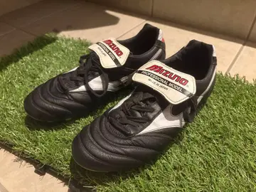 모렐리아 2 japan