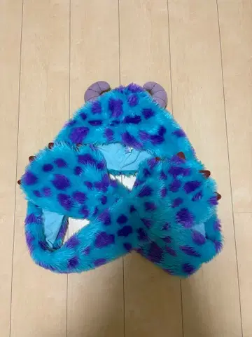 샐리 팬캡 디즈니