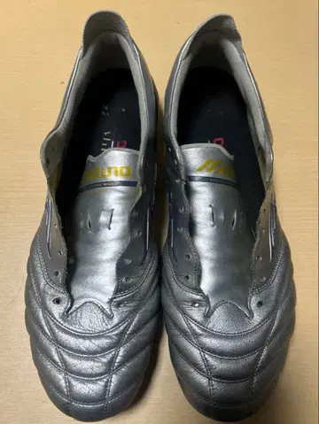 모렐리아 NEO 4 실버