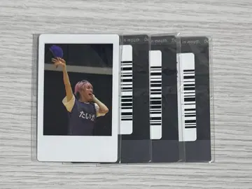 팬더드래곤 운동회 하피카