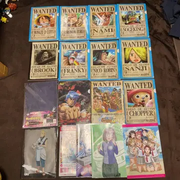 클리어 파일, 원피스 등