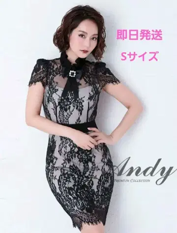 andy 레이스 드레스 S 사이즈 1회 착용 새상품급
